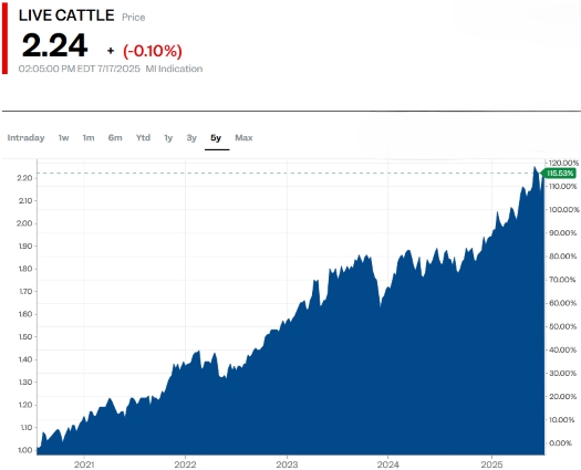 Live cattle2025.jpg